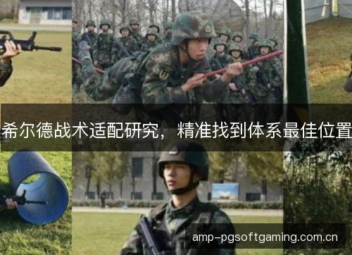 希尔德战术适配研究，精准找到体系最佳位置